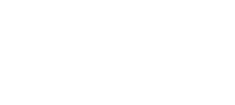 Technique Logo Planar Final