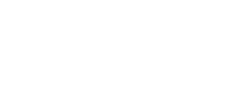 Technique Logo Modulo Final