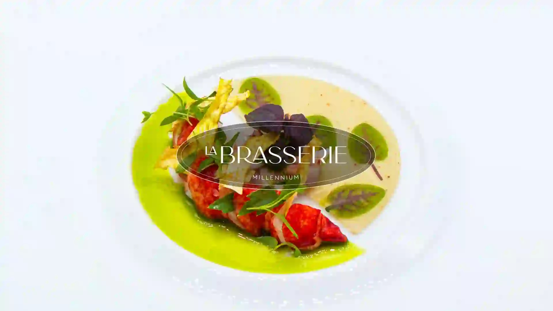 Transparance De Homard Breton Brasserie Millennium News My Min